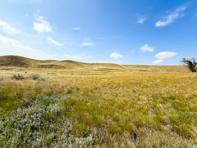 14± Undeveloped Acres Along Airport Road • Glasgow, Montana - image 8