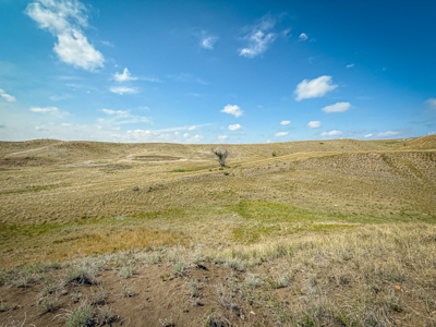 14± Undeveloped Acres Along Airport Road • Glasgow, Montana - image 2