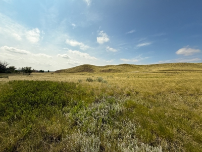 14± Undeveloped Acres Along Airport Road • Glasgow, Montana - image 9