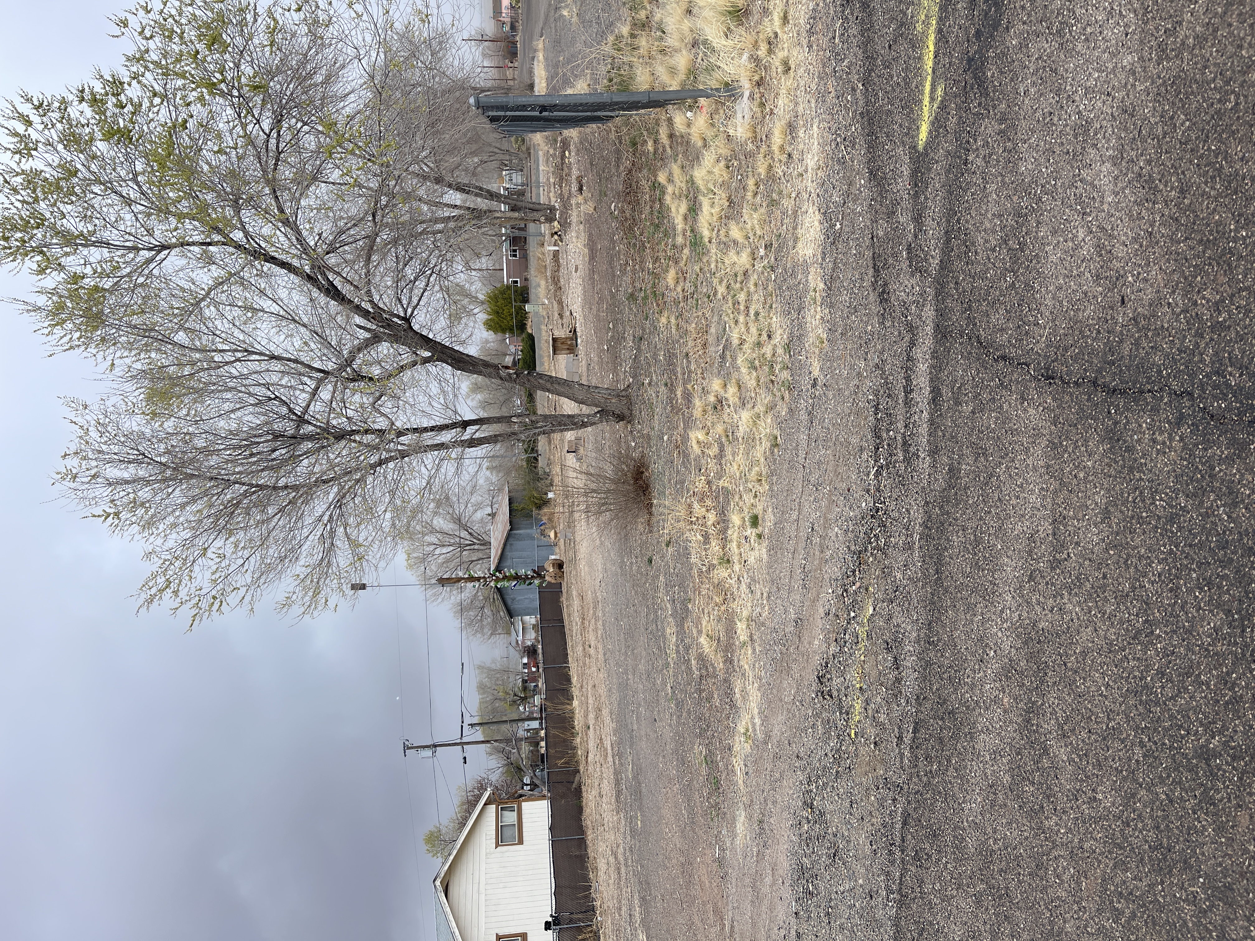 Front View of Lot