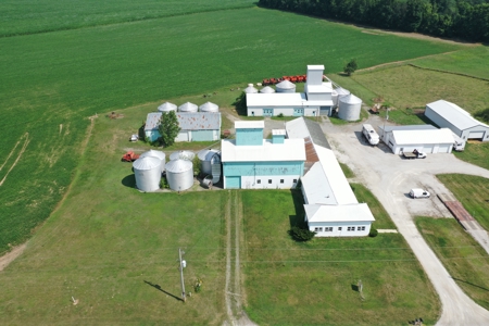 BF Walton Seed Auction- August 23rd at 10am - image 1