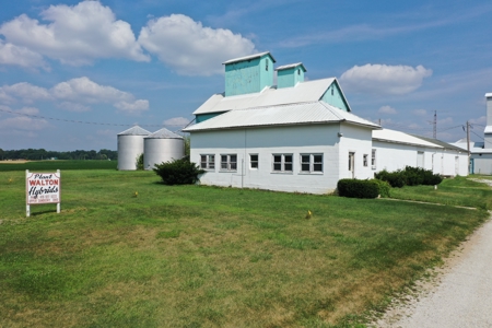 BF Walton Seed Auction- August 23rd at 10am - image 4