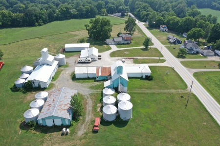 BF Walton Seed Auction- August 23rd at 10am - image 3