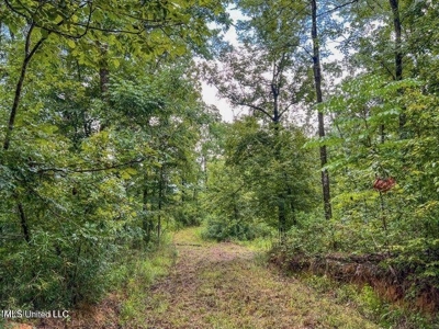 30 Acres of Prime Hunting Property in Hinds County - image 35