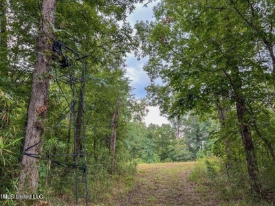 30 Acres of Prime Hunting Property in Hinds County - image 51