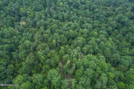 30 Acres of Prime Hunting Property in Hinds County - image 21