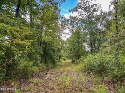 30 Acres of Prime Hunting Property in Hinds County - image 37