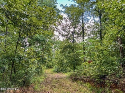 30 Acres of Prime Hunting Property in Hinds County - image 34