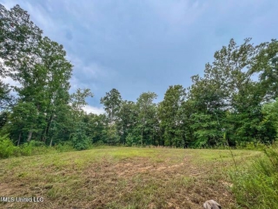 30 Acres of Prime Hunting Property in Hinds County - image 15