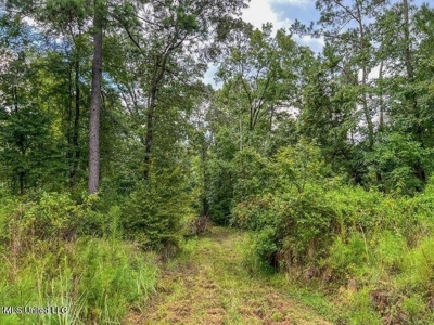 30 Acres of Prime Hunting Property in Hinds County - image 31