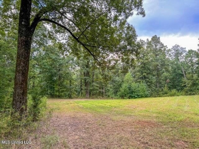 30 Acres of Prime Hunting Property in Hinds County - image 42