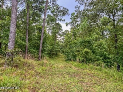 30 Acres of Prime Hunting Property in Hinds County - image 38