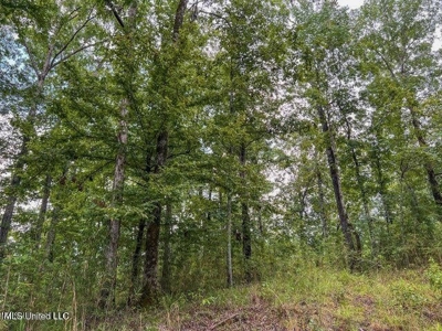 30 Acres of Prime Hunting Property in Hinds County - image 50