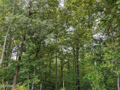 30 Acres of Prime Hunting Property in Hinds County - image 9