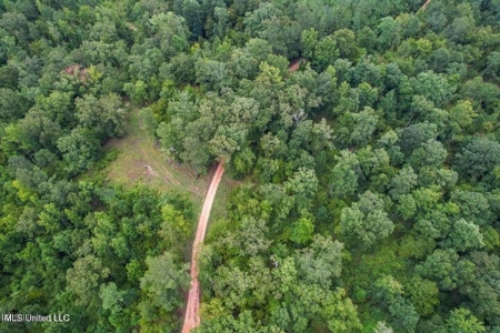 30 Acres of Prime Hunting Property in Hinds County - image 25