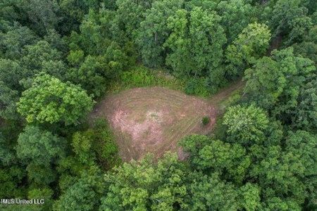 30 Acres of Prime Hunting Property in Hinds County - image 18