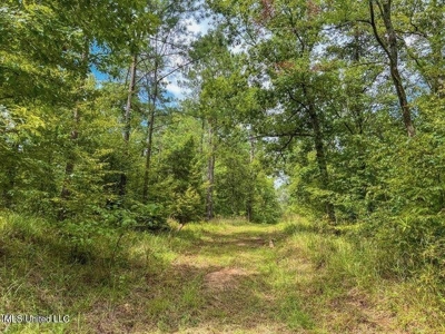 30 Acres of Prime Hunting Property in Hinds County - image 57