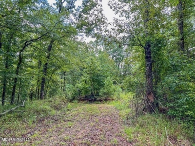 30 Acres of Prime Hunting Property in Hinds County - image 32