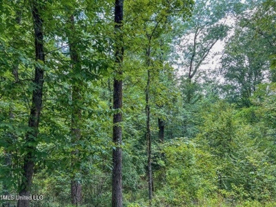 30 Acres of Prime Hunting Property in Hinds County - image 33