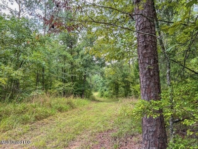 30 Acres of Prime Hunting Property in Hinds County - image 41