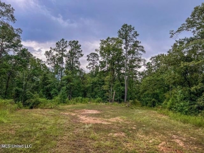 30 Acres of Prime Hunting Property in Hinds County - image 30