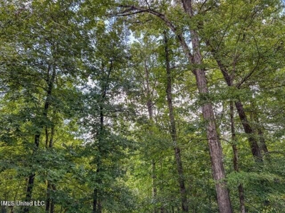 30 Acres of Prime Hunting Property in Hinds County - image 45