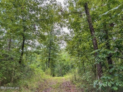 30 Acres of Prime Hunting Property in Hinds County - image 48