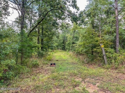 30 Acres of Prime Hunting Property in Hinds County - image 28