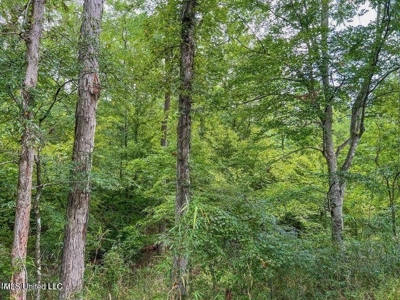 30 Acres of Prime Hunting Property in Hinds County - image 36