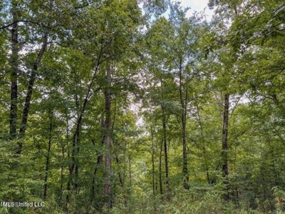 30 Acres of Prime Hunting Property in Hinds County - image 2