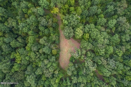 30 Acres of Prime Hunting Property in Hinds County - image 23