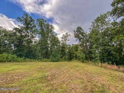 30 Acres of Prime Hunting Property in Hinds County - image 53