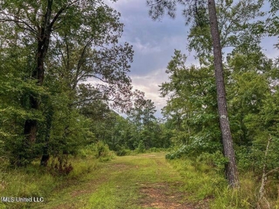30 Acres of Prime Hunting Property in Hinds County - image 29