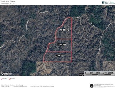 30 Acres of Prime Hunting Property in Hinds County - image 59