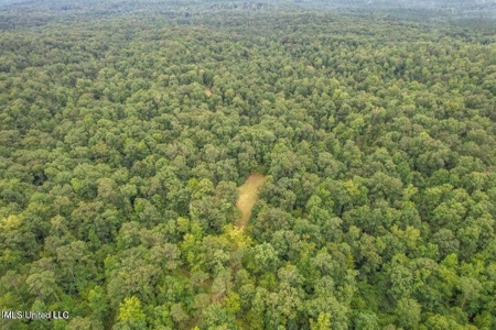 30 Acres of Prime Hunting Property in Hinds County - image 27