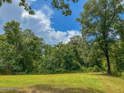30 Acres of Prime Hunting Property in Hinds County - image 17
