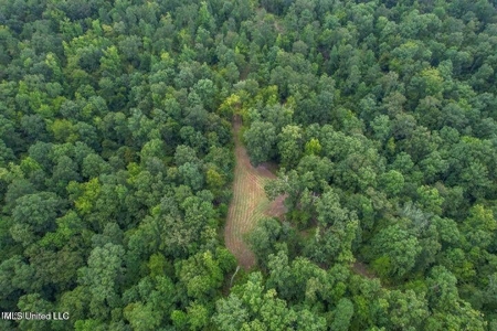 30 Acres of Prime Hunting Property in Hinds County - image 22