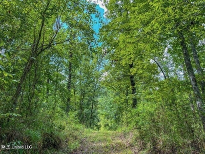 30 Acres of Prime Hunting Property in Hinds County - image 55