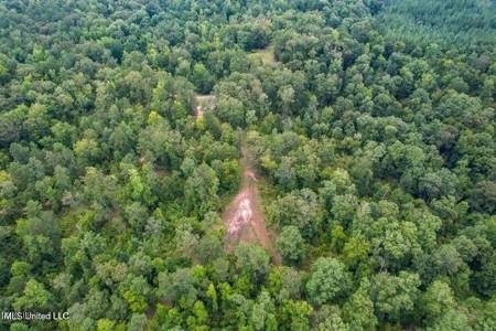 30 Acres of Prime Hunting Property in Hinds County - image 24
