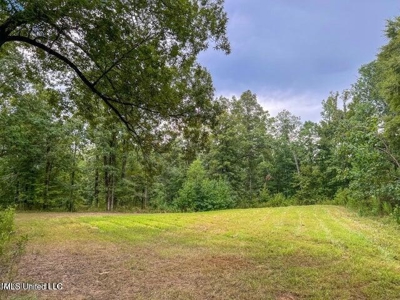 30 Acres of Prime Hunting Property in Hinds County - image 43