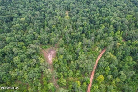 30 Acres of Prime Hunting Property in Hinds County - image 26