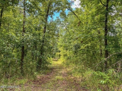 30 Acres of Prime Hunting Property in Hinds County - image 11