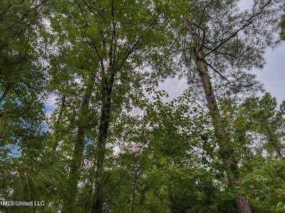 30 Acres of Prime Hunting Property in Hinds County - image 40
