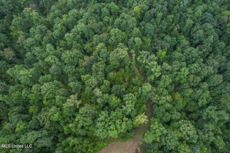30 Acres of Prime Hunting Property in Hinds County - image 20
