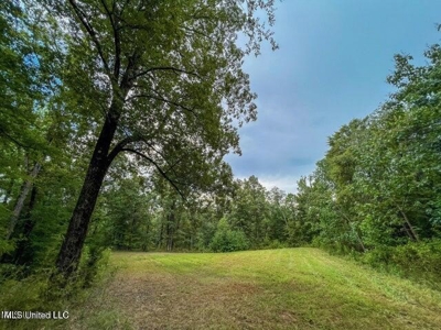 30 Acres of Prime Hunting Property in Hinds County - image 44