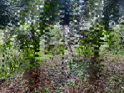 Land for Sale in Buenos Aires, Chame | 3016 m² and Mountain Views - image 6