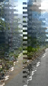 Land for Sale in Buenos Aires, Chame | 3016 m² and Mountain Views - image 12