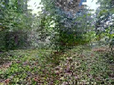 Land for Sale in Buenos Aires, Chame | 3016 m² and Mountain Views - image 5