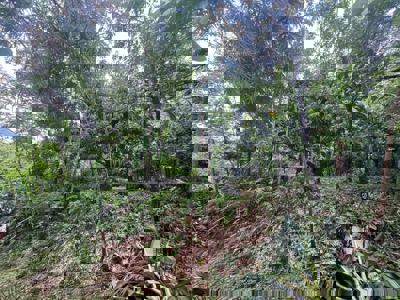 Land for Sale in Buenos Aires, Chame | 3016 m² and Mountain Views - image 4