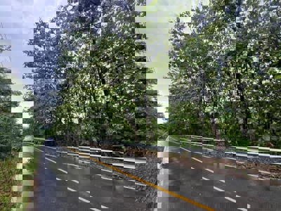 Land for Sale in Buenos Aires, Chame | 3016 m² and Mountain Views - image 2